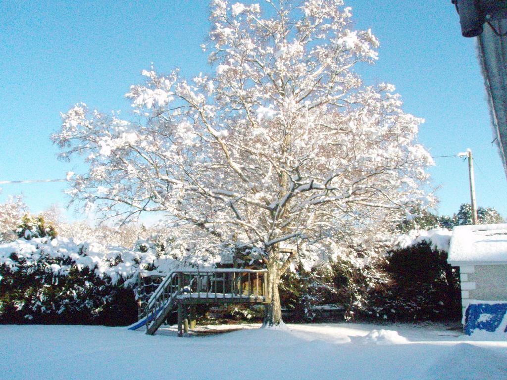 Birchdale House B&B ラスドラム エクステリア 写真