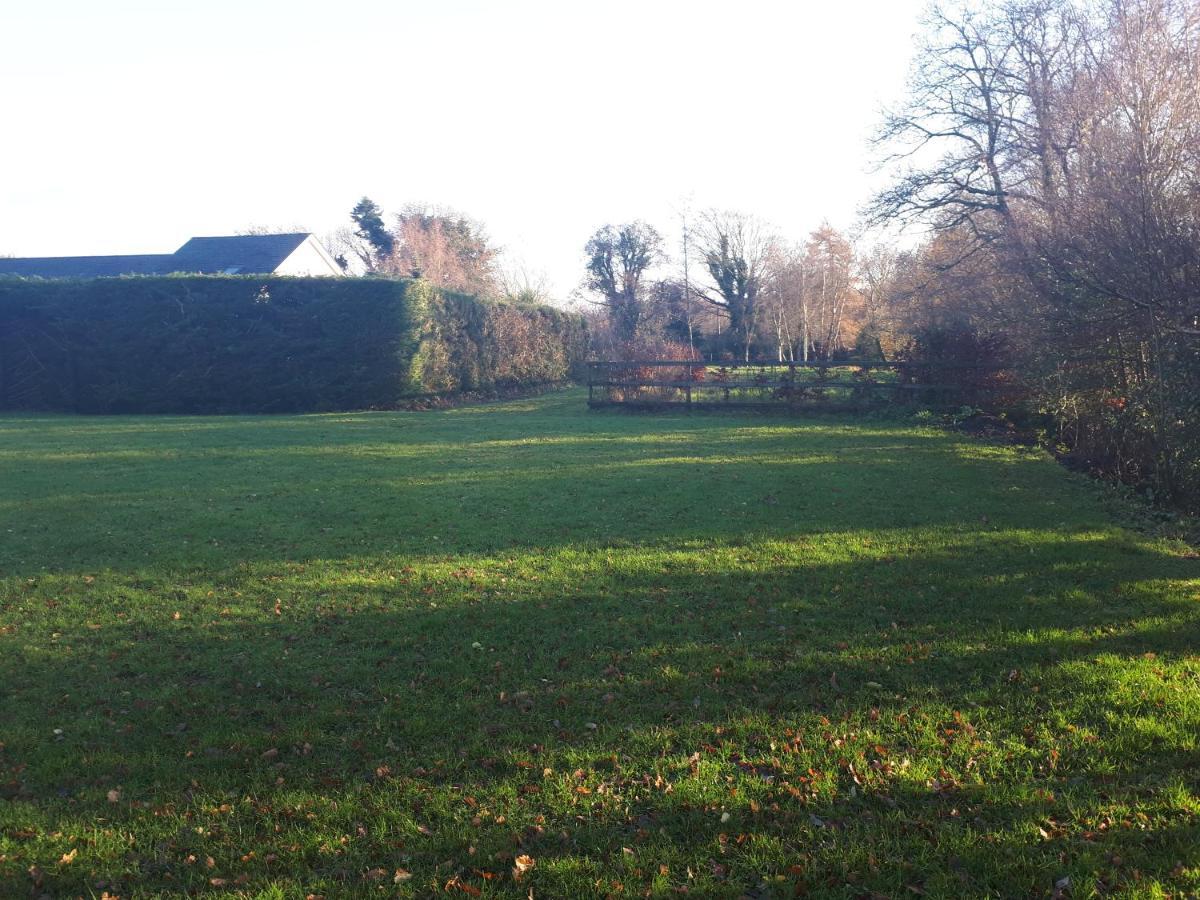 Birchdale House B&B ラスドラム エクステリア 写真